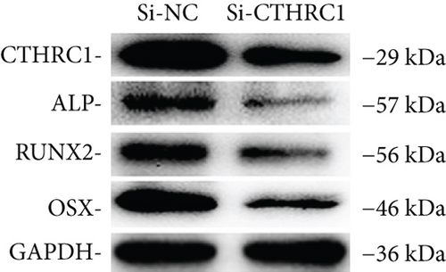 Details are in the caption following the image