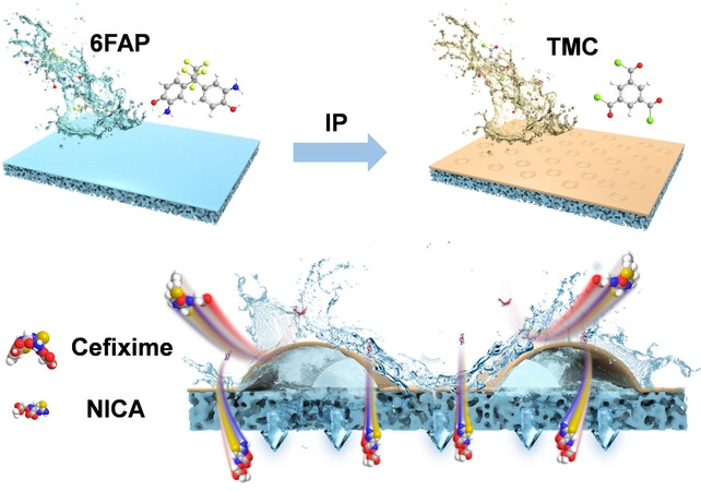 Fabrication of Coffee-Ring Nanostructured Membranes for Organic Solvent Nanofiltration