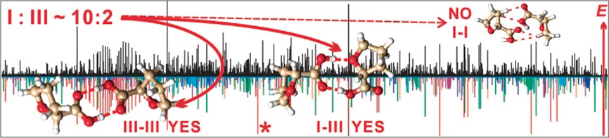 Conformational Panorama and Chirality Controlled Structure–Energy Relationship in a Chiral Carboxylic Acid Dimer