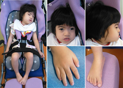 Details are in the caption following the image Details are in the caption following the image