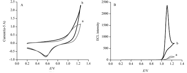Electrochemiluminescence of SDBS-Ru(bpy)32+-CPM System and Its Application