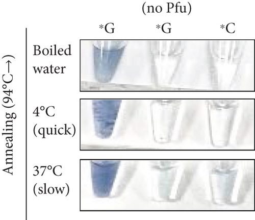 Details are in the caption following the image