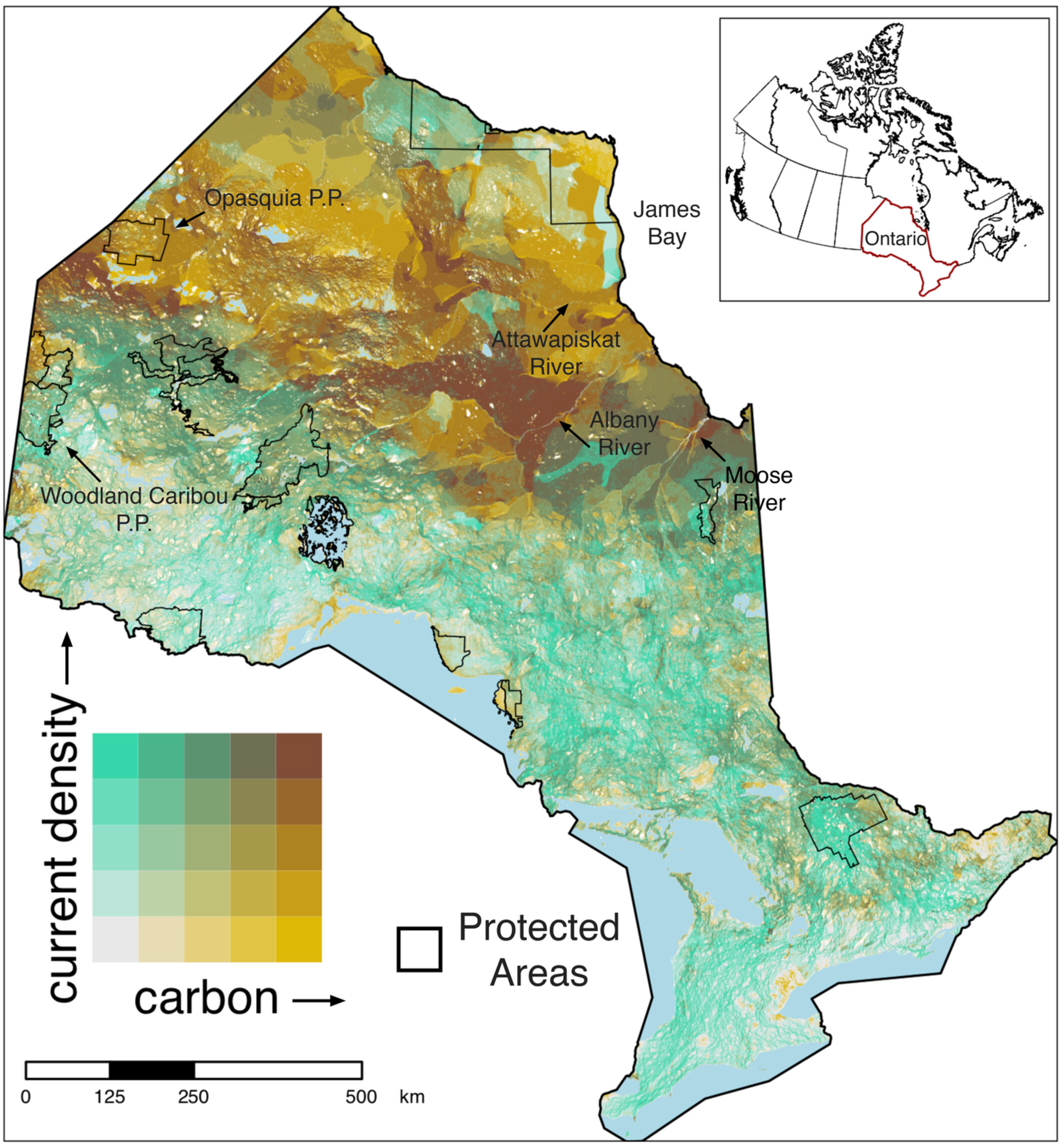 Integrating carbon stocks and landscape connectivity for nature-based climate solutions
