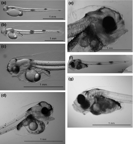 Details are in the caption following the image