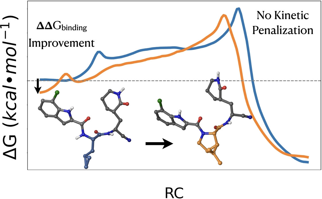 Pomotrelvir and Nirmatrelvir Binding and Reactivity with SARS-CoV-2 Main Protease: Implications for Resistance Mechanisms from Computations