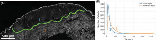 Details are in the caption following the image