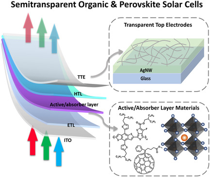 Recent Progress in Semitransparent Organic and Perovskite Solar Cells