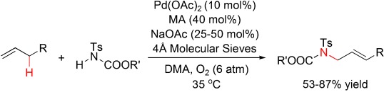 Palladium-Catalyzed Intermolecular Aerobic Oxidative Amination of Terminal Alkenes: Efficient Synthesis of Linear Allylamine Derivatives
