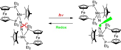 Cleavage and Formation of Molecular Dinitrogen in a Single System Assisted by Molybdenum Complexes Bearing Ferrocenyldiphosphine
