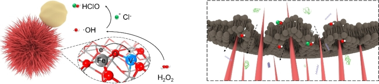 Spiky Artificial Peroxidases with V−O−Fe Pair Sites for Combating Antibiotic-Resistant Pathogens