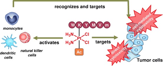 Immuno-Chemotherapeutic Platinum(IV) Prodrugs of Cisplatin as Multimodal Anticancer Agents