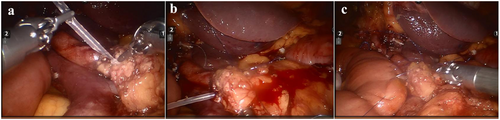Details are in the caption following the image Details are in the caption following the image