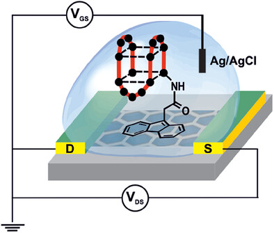 Single-Step Functionalization Strategy of Graphene Microtransistor Array with Chemically Modified Aptamers for Biosensing Applications