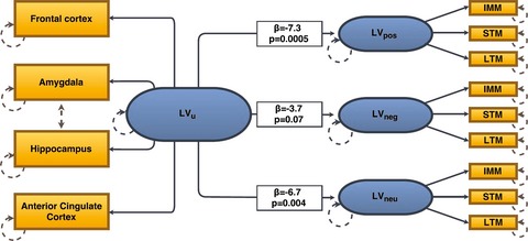Brain serotonin 4 receptor binding is inversely associated with verbal memory recall