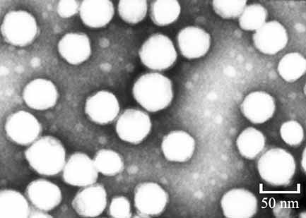 Photoreversible Fluorescent Modulation of Nanoparticles via One-Step Miniemulsion Polymerization