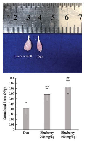 Details are in the caption following the image