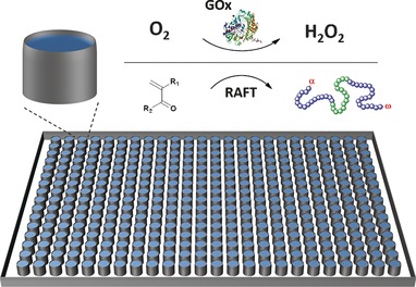 Combinatorial Low-Volume Synthesis of Well-Defined Polymers by Enzyme Degassing