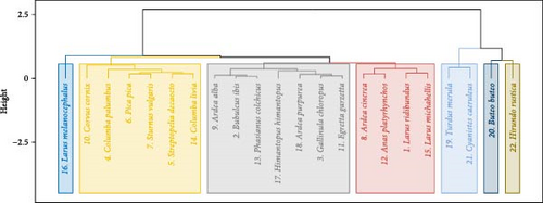 Details are in the caption following the image Details are in the caption following the image