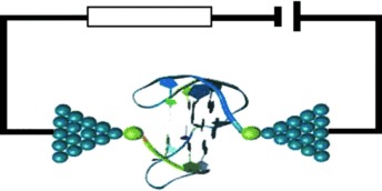 Direkte Messung des Stromflusses durch G-Quadruplex-DNA mithilfe von mechanisch kontrollierbaren Bruchkontaktelektroden