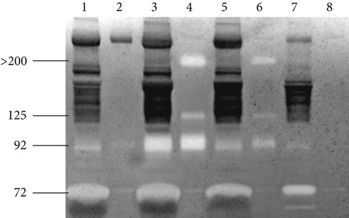Details are in the caption following the image