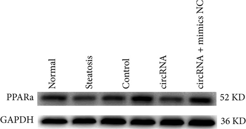 Details are in the caption following the image