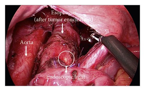 Details are in the caption following the image Details are in the caption following the image