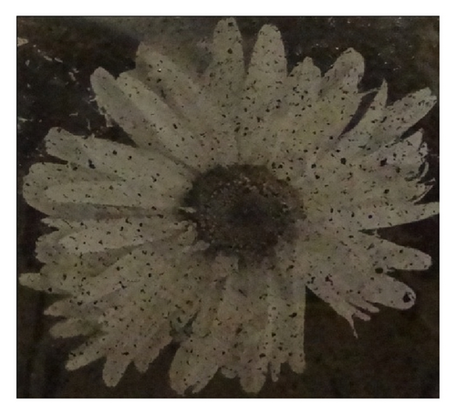 Details are in the caption following the image