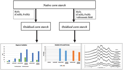 Ultrasound Effect on the Hydrogen Peroxide Oxidation of Corn Starch, Molecular Structure, and Functional Properties of Obtained Starch Derivatives