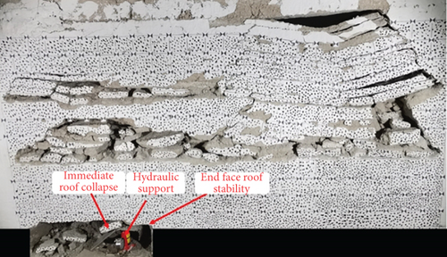Details are in the caption following the image Details are in the caption following the image