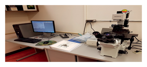 Details are in the caption following the image Details are in the caption following the image