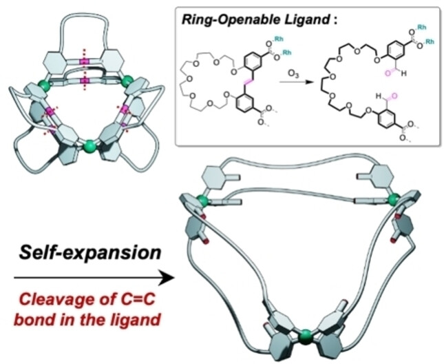 Fabrication of Self-Expanding Metal–Organic Cages Using a Ring-Openable Ligand