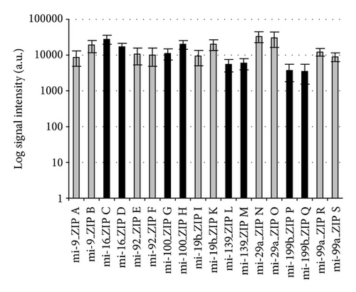 Details are in the caption following the image Details are in the caption following the image