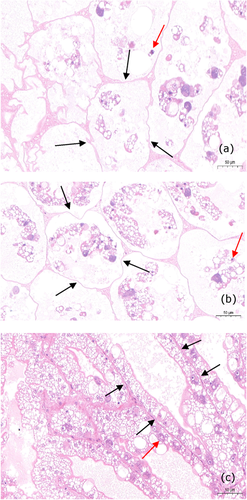Details are in the caption following the image Details are in the caption following the image