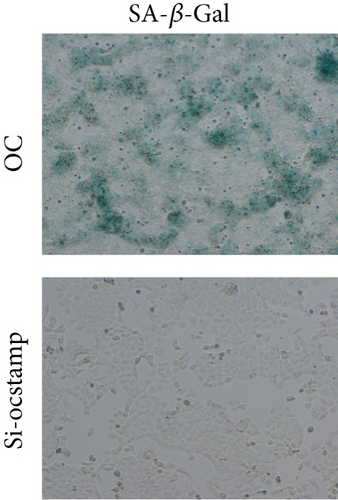 Details are in the caption following the image