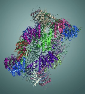 Inhibitors for the Immuno- and Constitutive Proteasome: Current and Future Trends in Drug Development