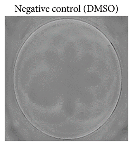Details are in the caption following the image