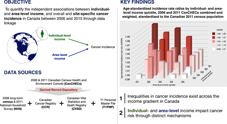 Differences in site-specific cancer incidence by individual- and area-level income in Canada from 2006 to 2015