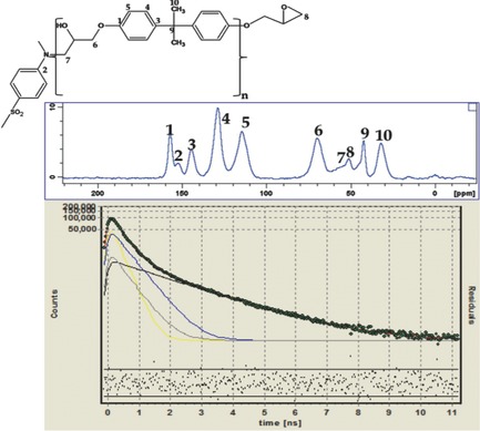 Study of the Curing Process of DGEBA Epoxy Resin Through Structural Investigation