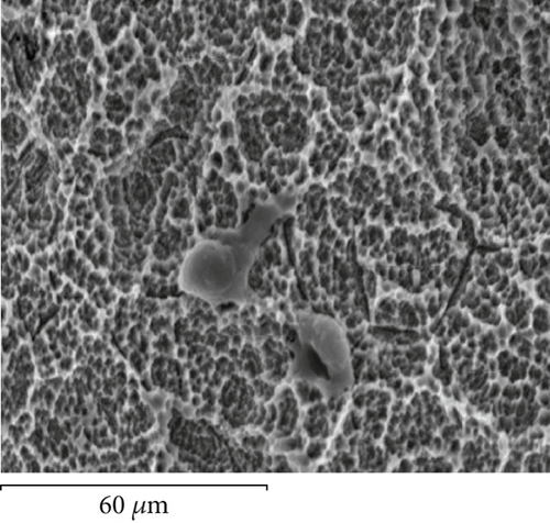 Details are in the caption following the image