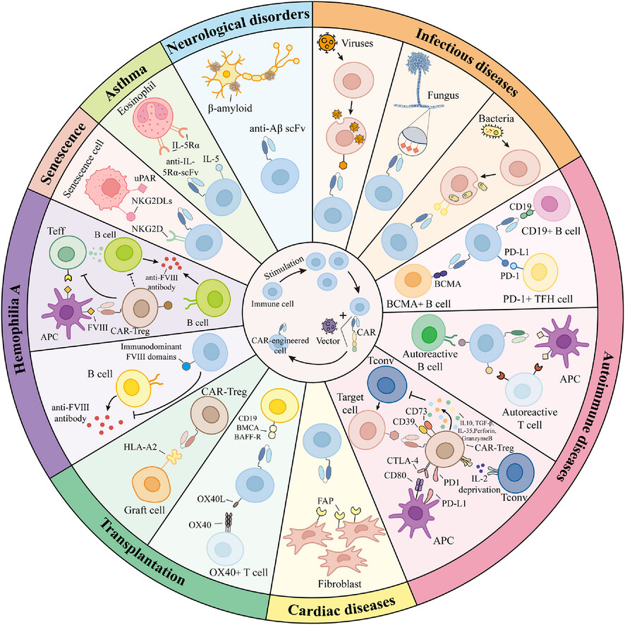 Diverse potential of chimeric antigen receptor-engineered cell therapy: Beyond cancer