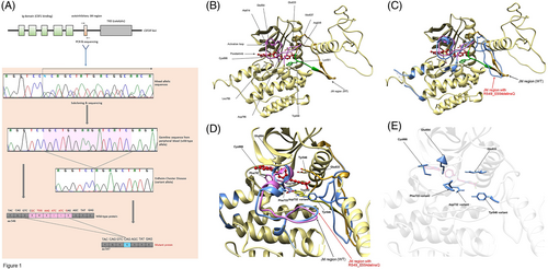 Details are in the caption following the image Details are in the caption following the image