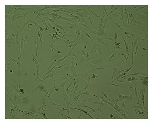 Details are in the caption following the image