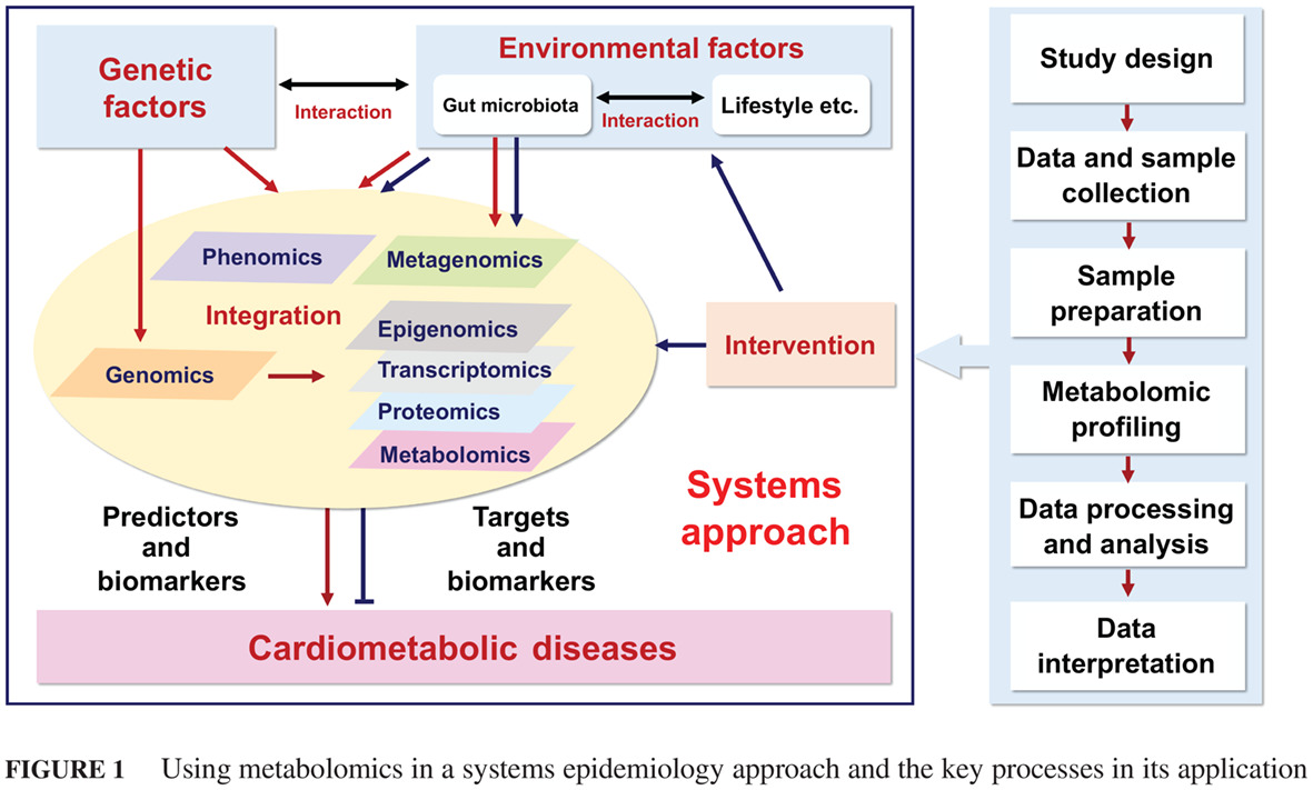 Linking of metabolomic biomarkers with cardiometabolic health in Chinese population 中国人群代谢组学标记物与心血管代谢健康的关联研究