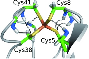 Homolytic Cleavage of Fe<span class='icomoon'></span>S Bonds in Rubredoxin under Mechanical Stress