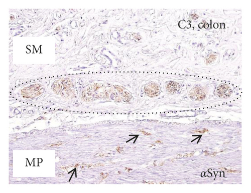 Details are in the caption following the image
