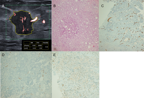 Details are in the caption following the image Details are in the caption following the image