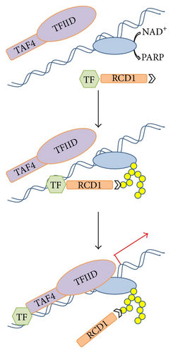 Details are in the caption following the image