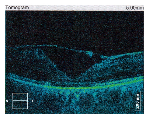 Details are in the caption following the image Details are in the caption following the image