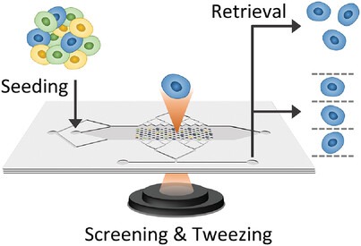 FLUIDOT: A Modular Microfluidic Platform for Single-Cell Study and Retrieval, with Applications in Drug Tolerance Screening and Antibody Mining