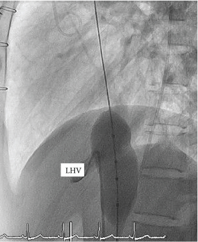 Details are in the caption following the image Details are in the caption following the image